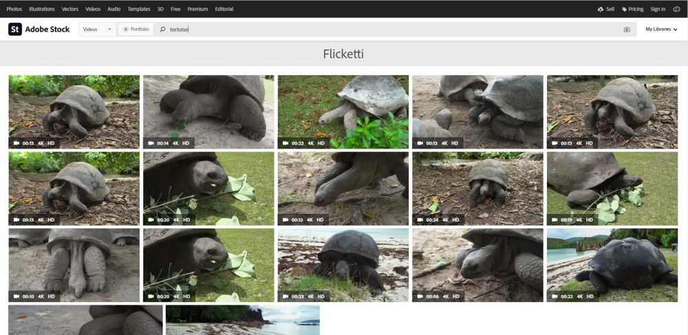"Giant Aldabra tortoise of Seychelles stock video"