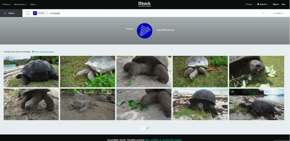 "Giant Aldabra tortoise of Seychelles stock video"